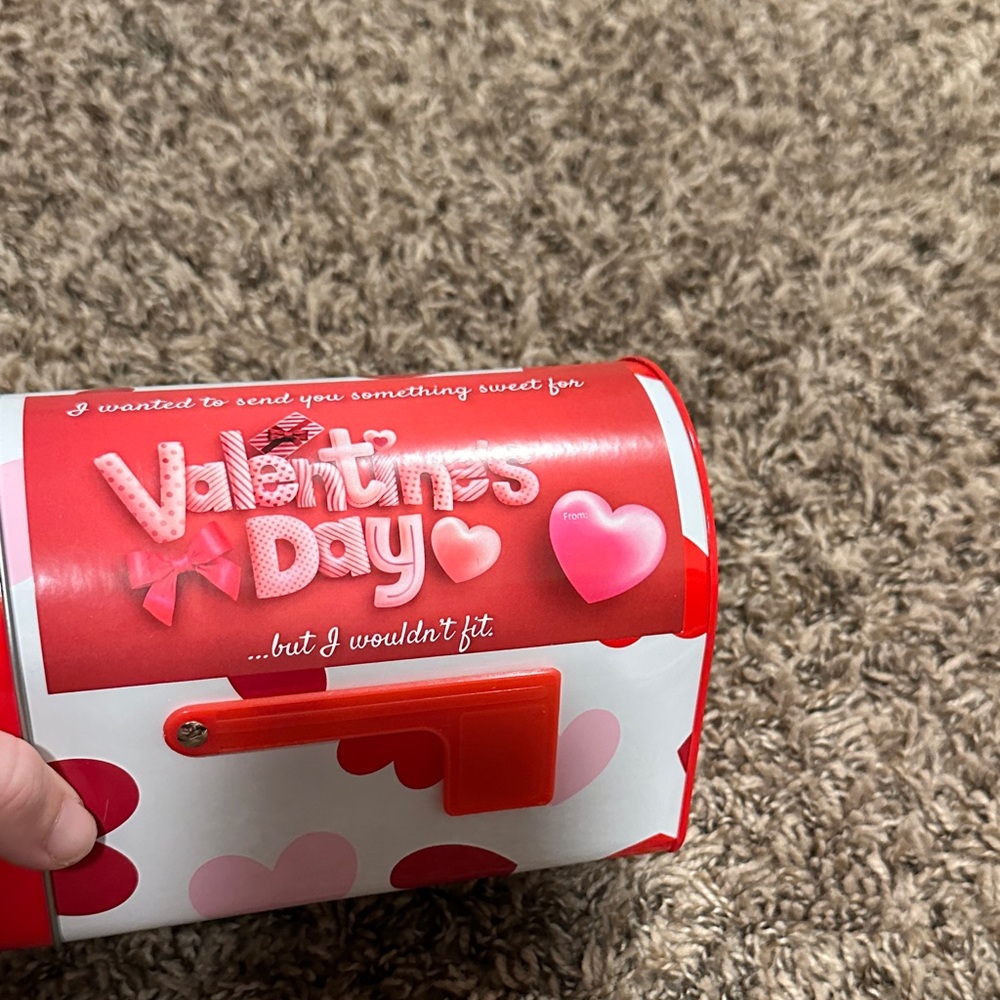 Wacoal Red and Pink Valentine's Day Mailbox Decor